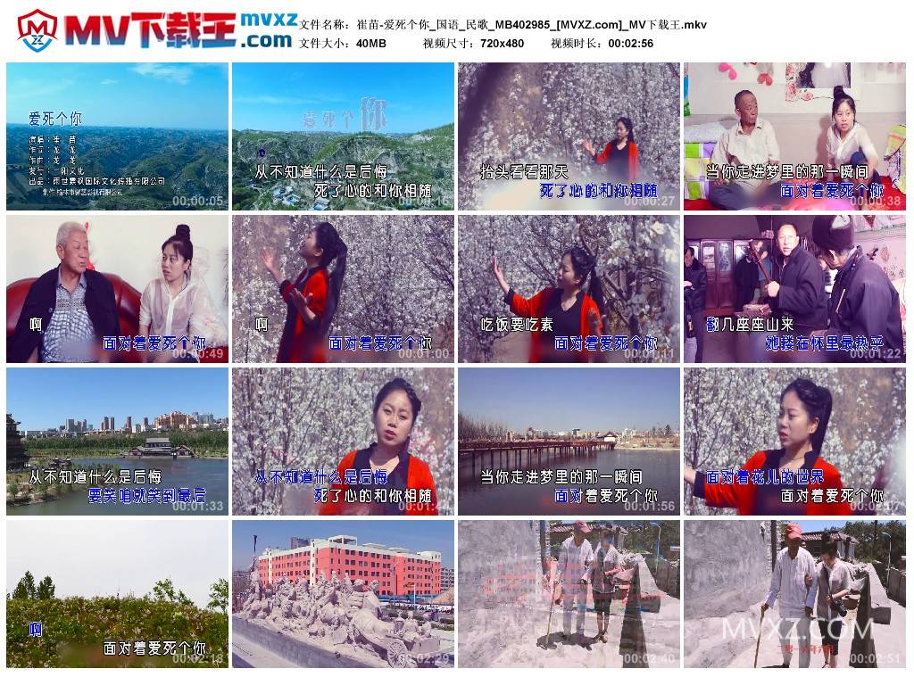 崔苗-爱死个你_国语_民歌_MB402985